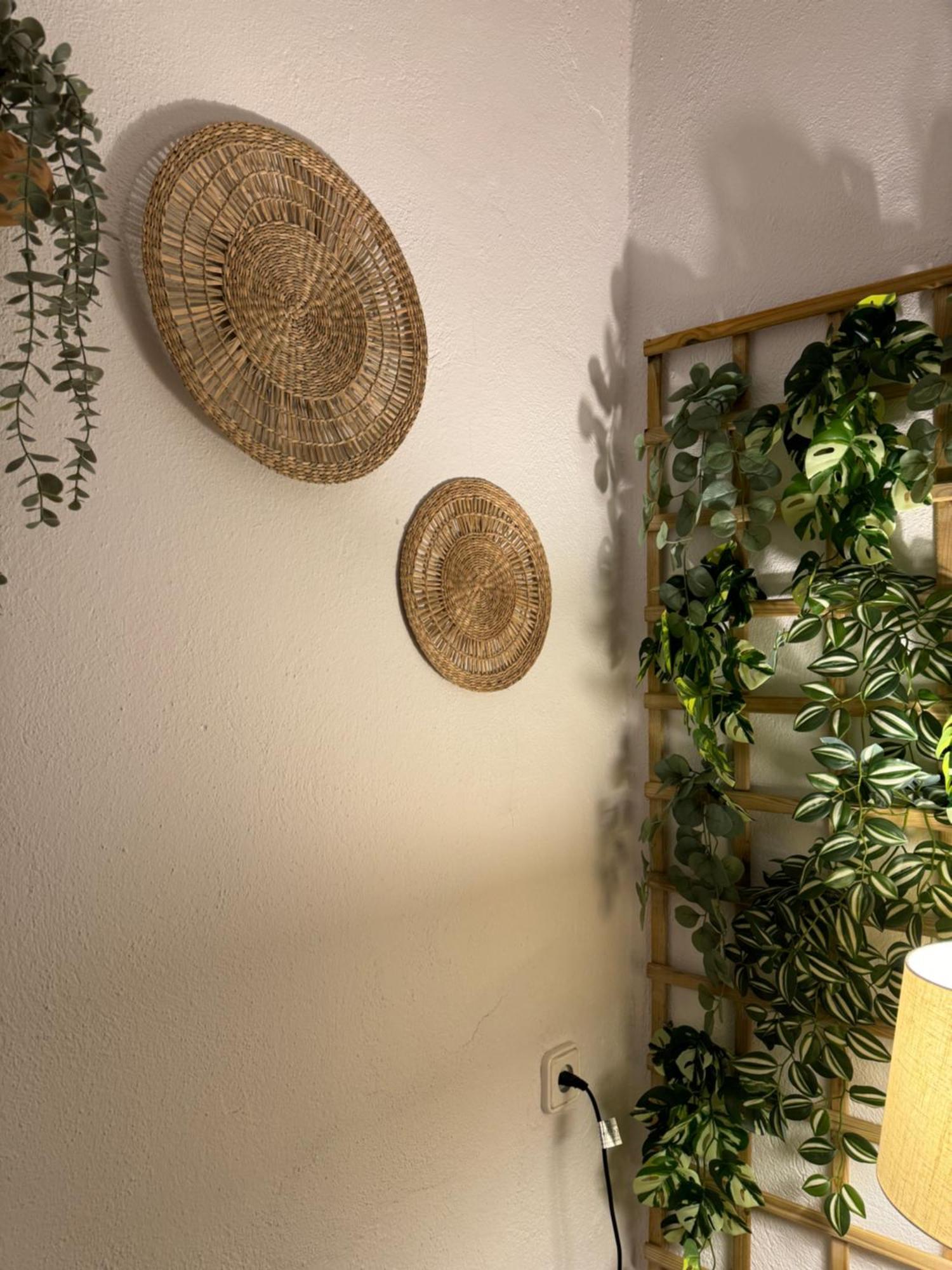 Garden Suites Xativa Casa Rural 외부 사진